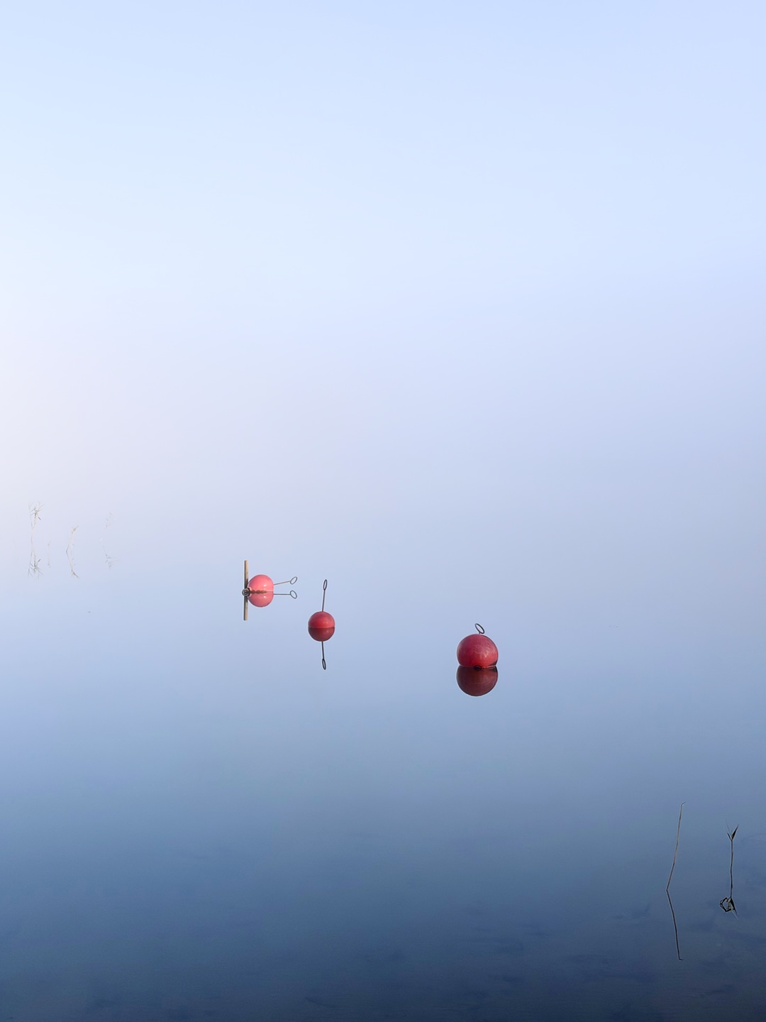 Three red buoys float in a misty lake with no visible horizon.