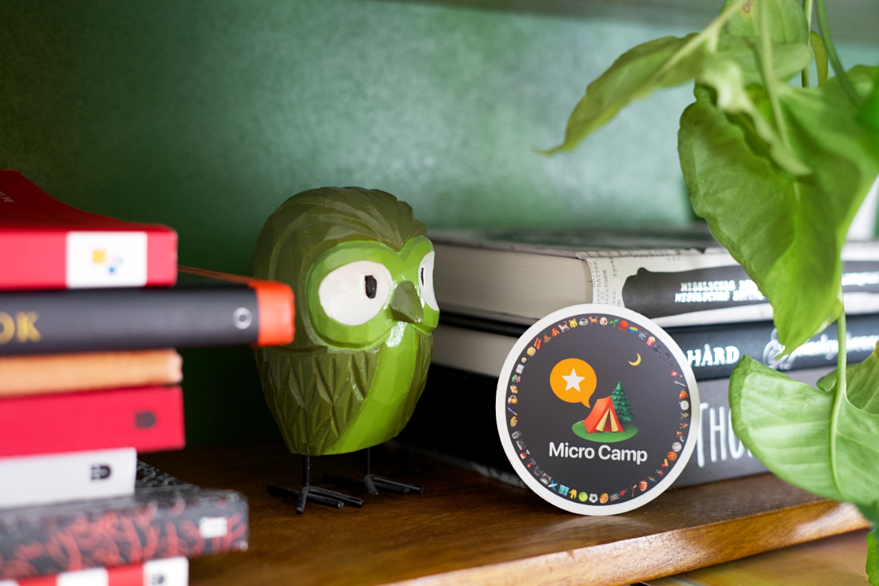 A bookshelf filled with books and decorated with a green plant and a wooden owl. Center-stage is a round sticker branded with the Micro.blog logotype and the text Micro Camp. It's filled with emojis along its circumference.