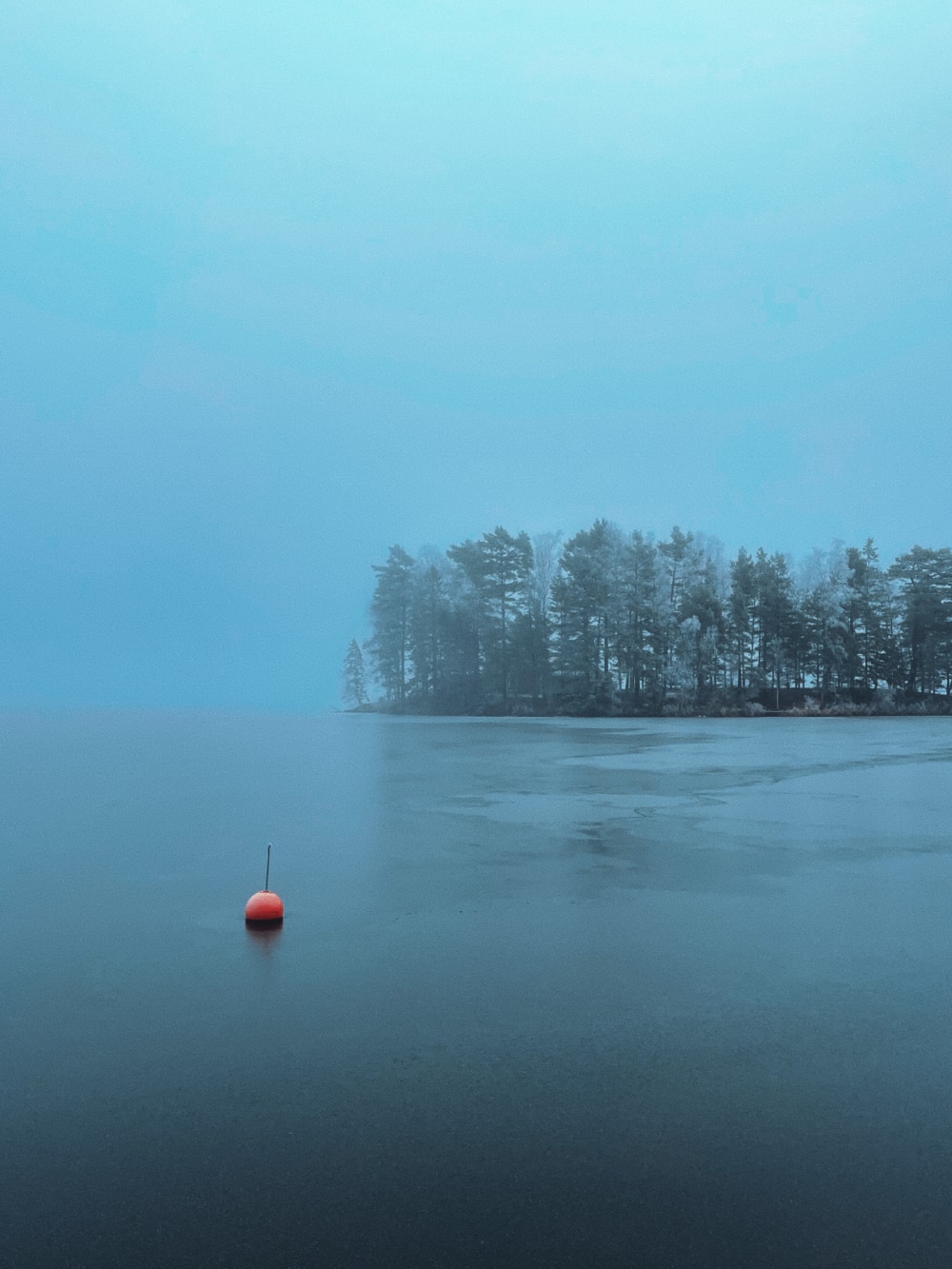 A misty, cold view over a frozen lake. Trees partly covered in snow. In the foreground, a lonely red buoy is stuck in the ice.
