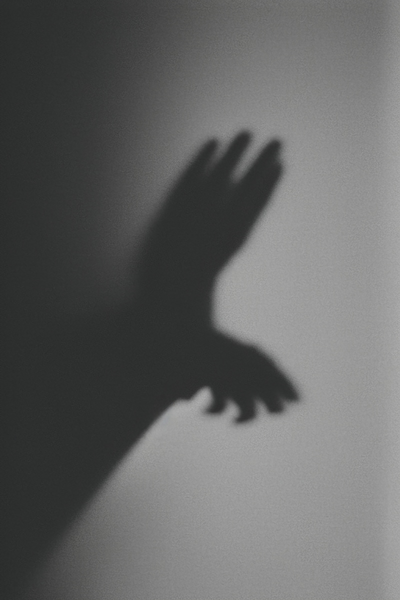 Shadowgraphy on a white wall. Two hands form an abstract, diffuse beast.
