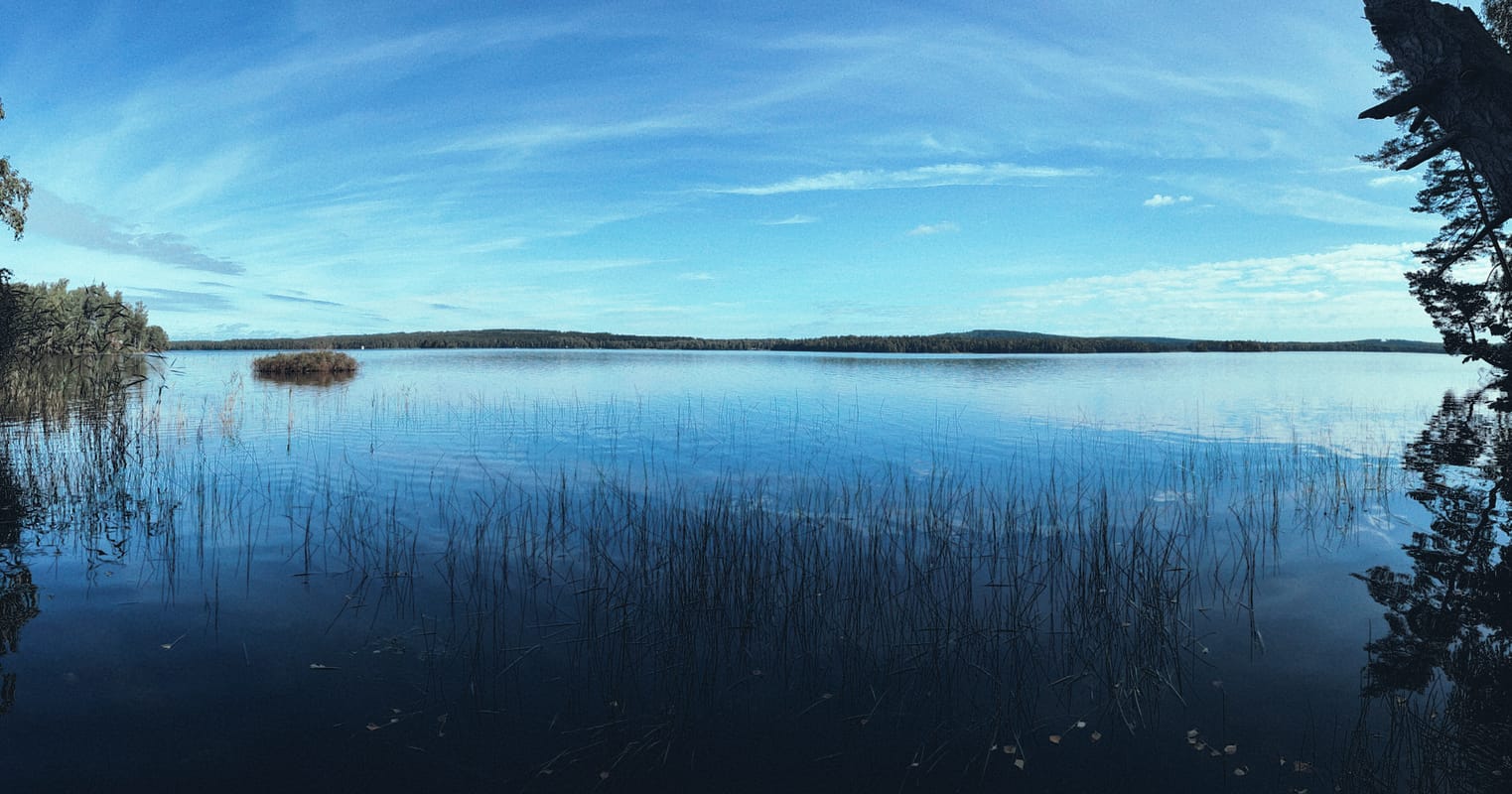 A panoramic view over a lake on a calm day with a blue sky and light cloud veils. Reeds are in the foreground, and on the other side, a forest can be glimpsed.