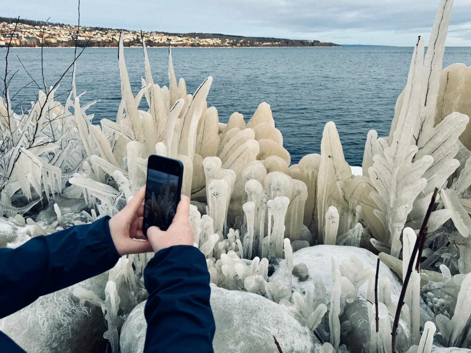 A photographer captures the surreal beauty of ice-draped vegetation with a smartphone. The frozen flora, resembling an otherworldly landscape, creates an eerie and alien ambiance.